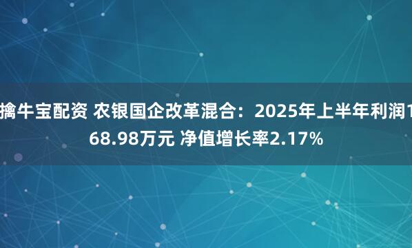 擒牛宝配资 农银国企改革混合：2025年上半年利润168.98万元 净值增长率2.17%