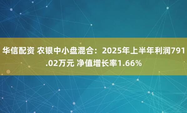 华信配资 农银中小盘混合：2025年上半年利润791.02万元 净值增长率1.66%