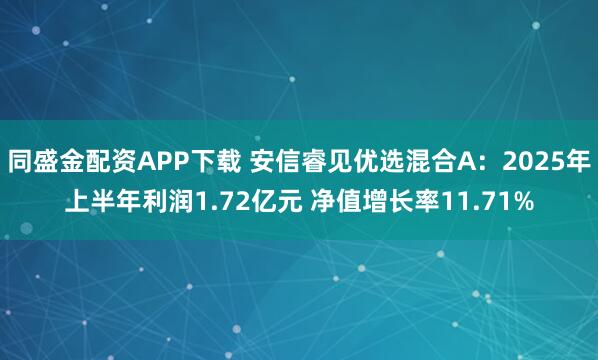 同盛金配资APP下载 安信睿见优选混合A：2025年上半年利润1.72亿元 净值增长率11.71%