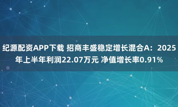 纪源配资APP下载 招商丰盛稳定增长混合A：2025年上半年利润22.07万元 净值增长率0.91%