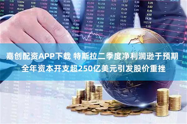 嘉创配资APP下载 特斯拉二季度净利润逊于预期 全年资本开支超250亿美元引发股价重挫